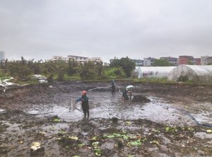 凌海河道鱼塘清淤